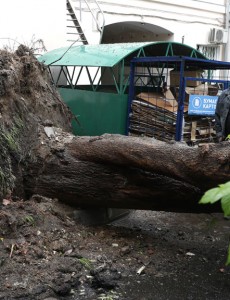 ураган в Москве картинка